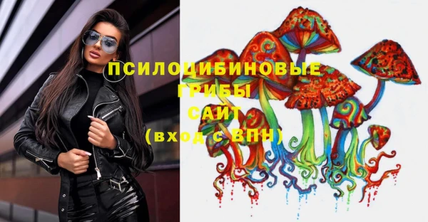 ГАЛЛЮЦИНОГЕННЫЕ ГРИБЫ Вязьма